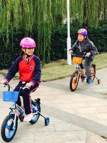 国产单车侠3d动画视频,速度与激情的青春传奇