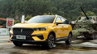 国产车颠峰视频,驾驭科技，驰骋未来