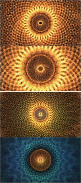 国产向日葵视频免费下载,向日葵视频免费下载，解锁精彩瞬间