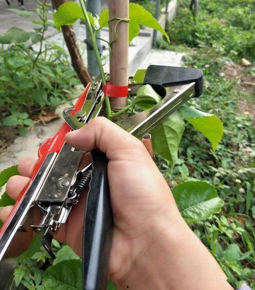 国产农机干活视频,视频展示农业现代化风采